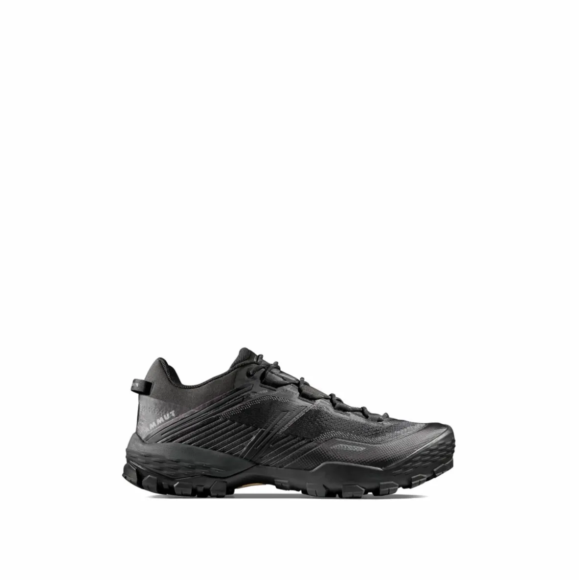 Buty Mammut Ducan II Low GTX Men