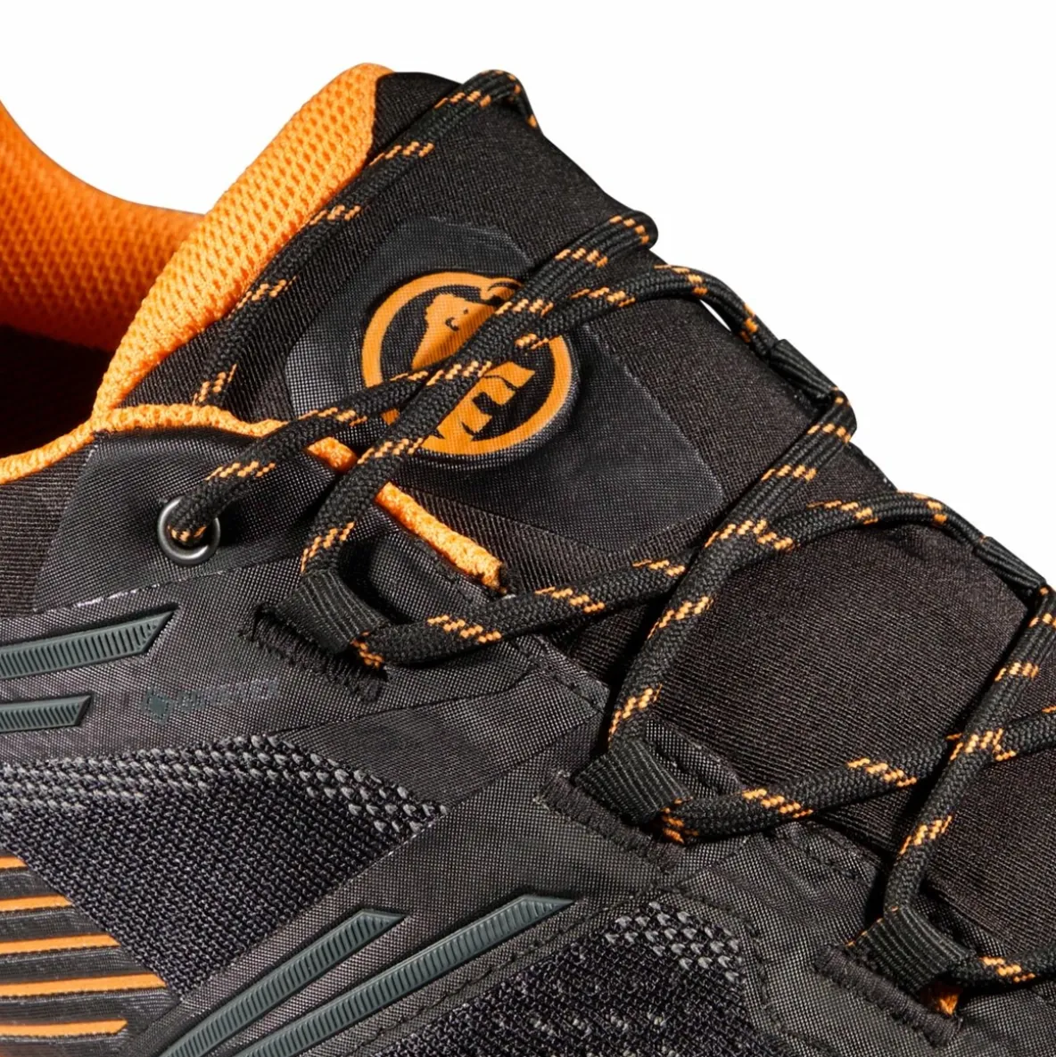 Buty Mammut Ducan II Low GTX Men