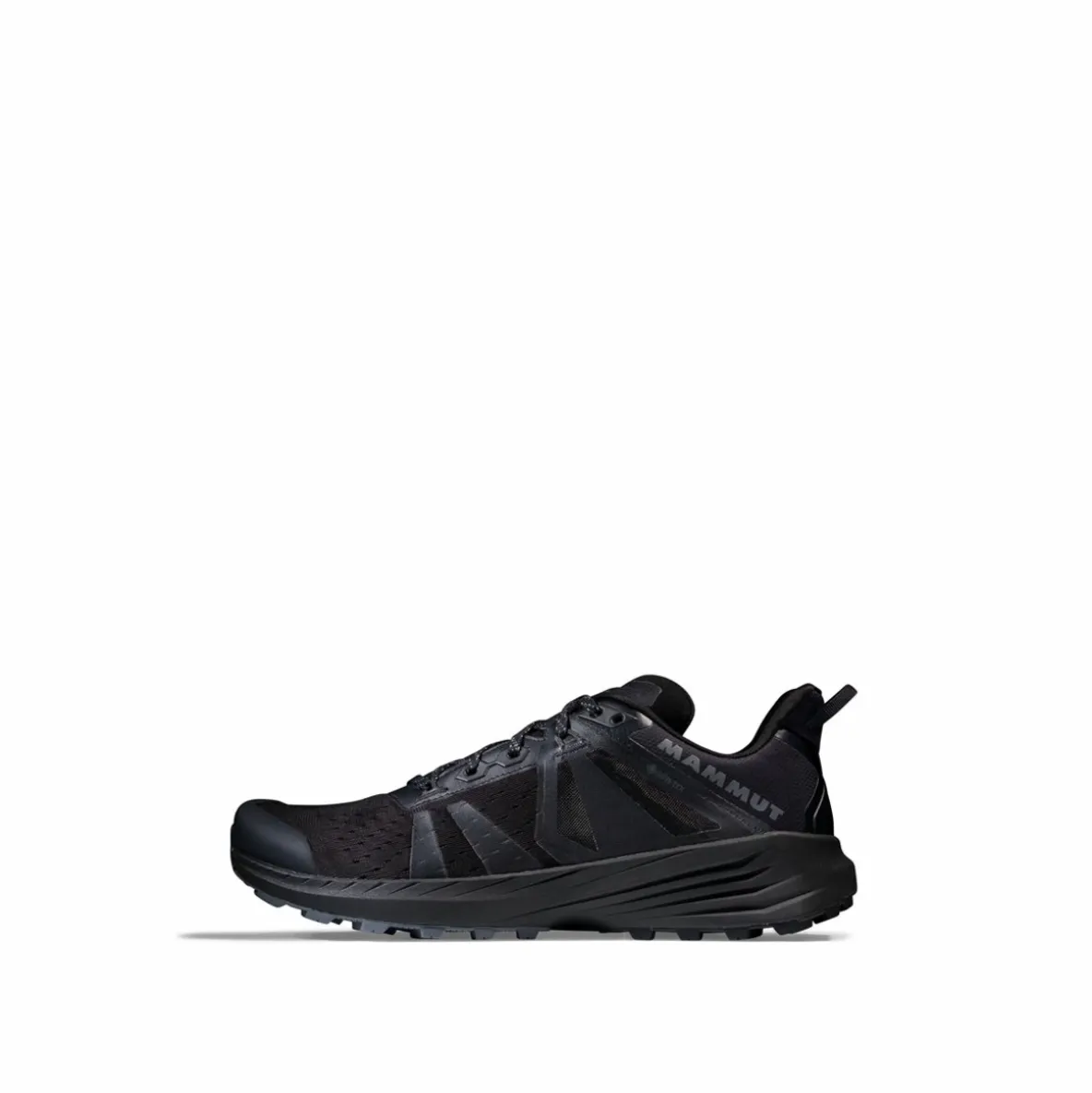 Buty Mammut Saentis TR Low GTX Men