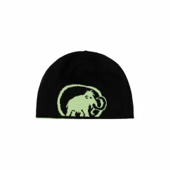 Czapka Mammut Logo Beanie