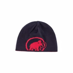 Czapka Mammut Logo Beanie