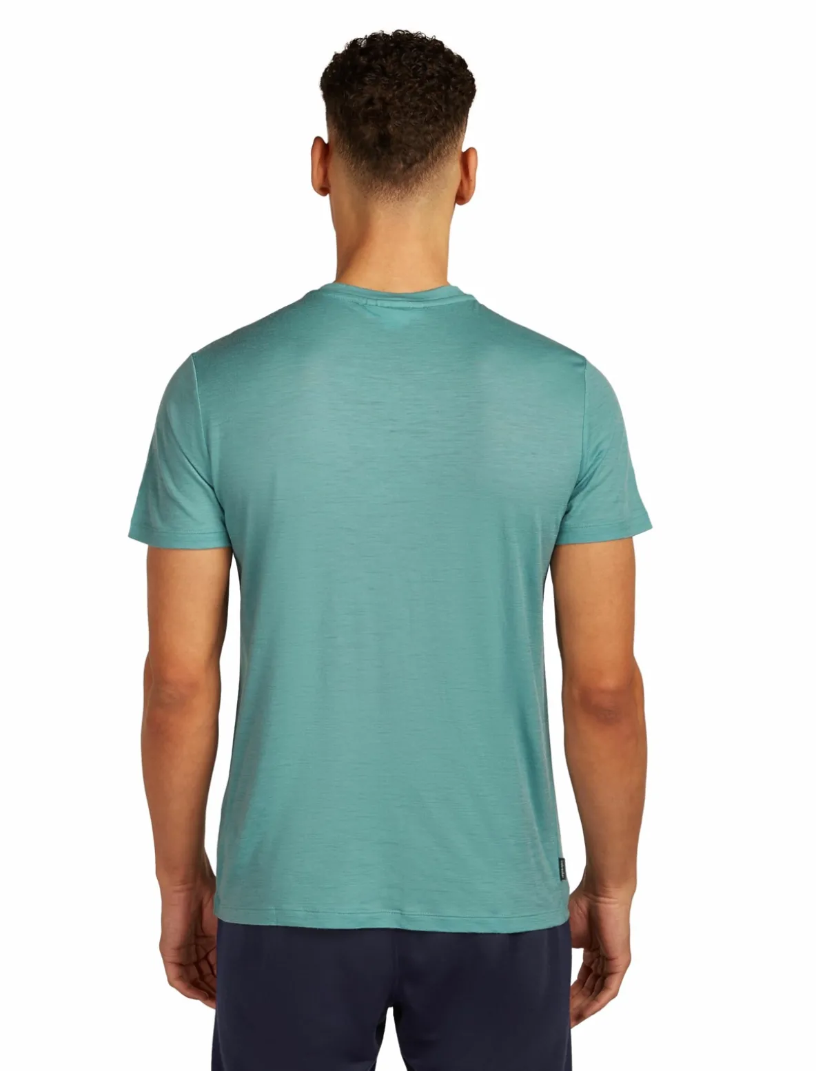 Koszulka Icebreaker Merino Tech Lite SS Tee Wordmark Men