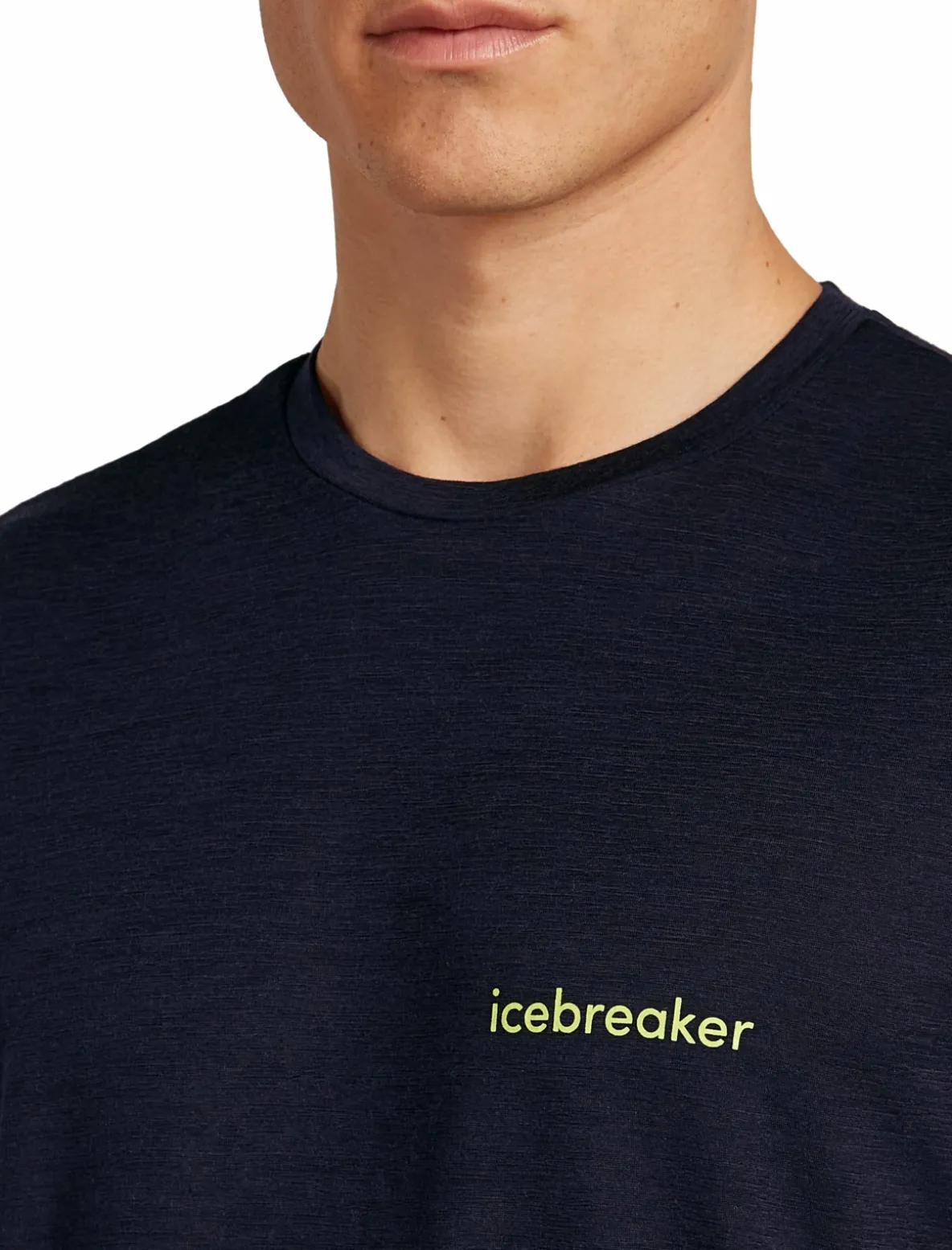 Koszulka Icebreaker Merino Tech Lite SS Tee Wordmark Men