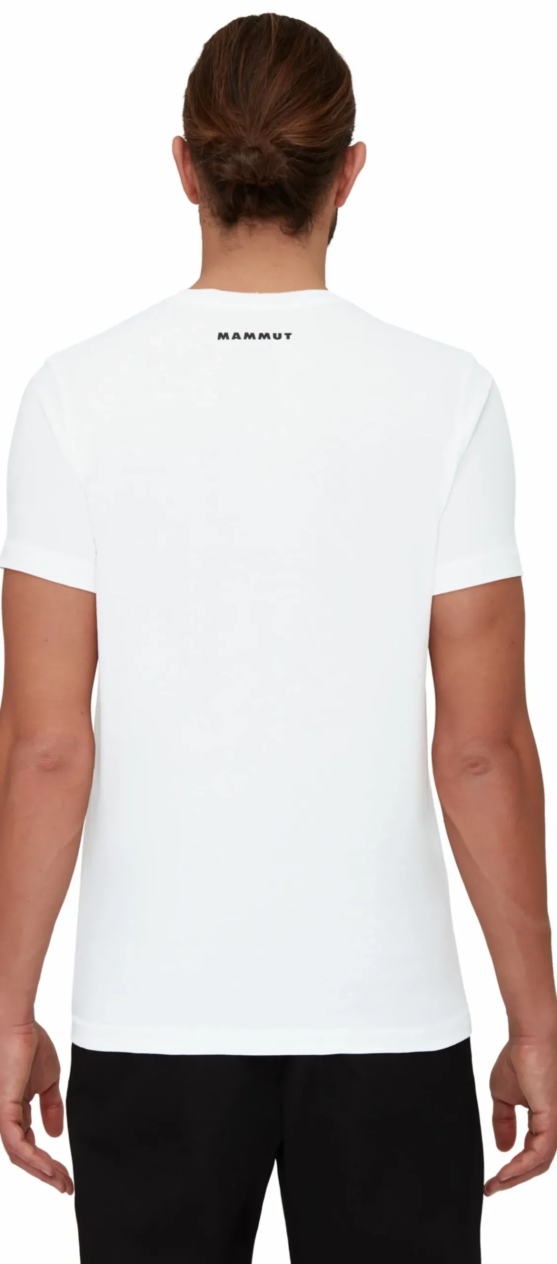 Koszulka Mammut Core T-Shirt Men Logo