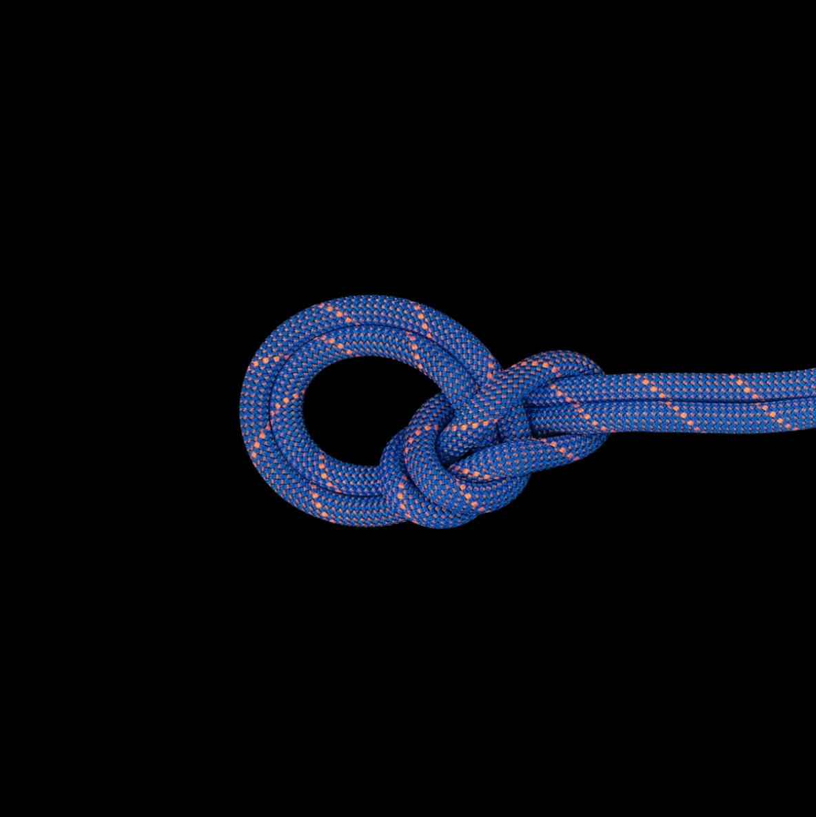 Lina dynamiczna Mammut 9.0 Crag Sender Dry Rope